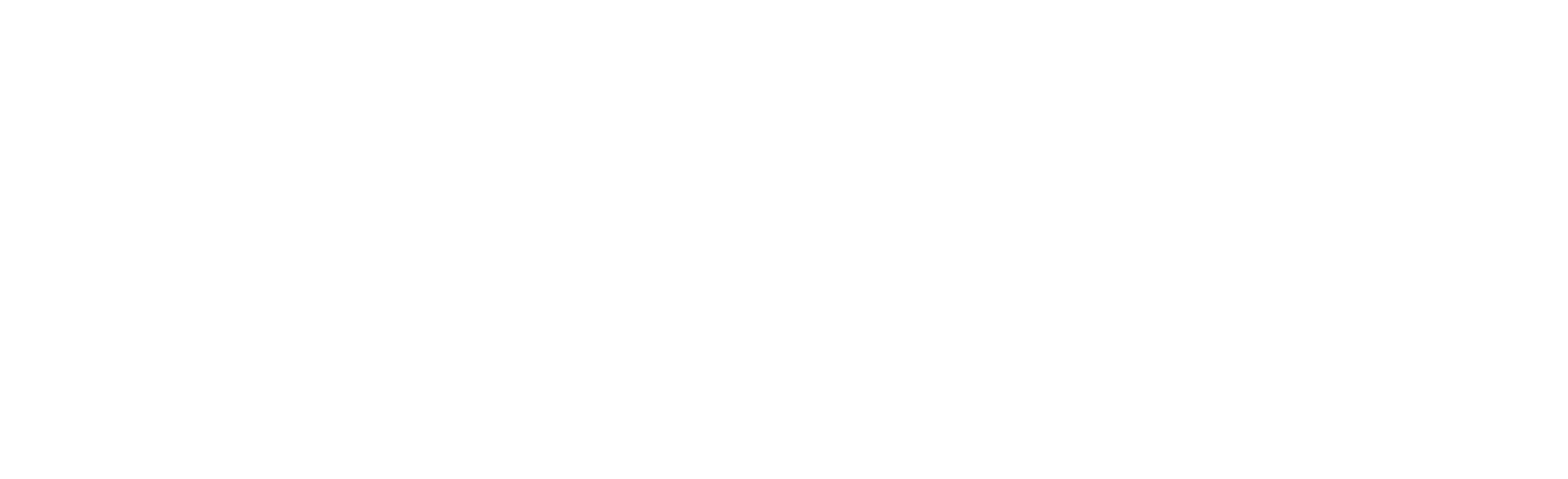 Inspiration Days Logo weiß