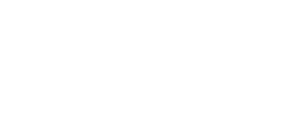 Logo Deutsche Flugsicherung