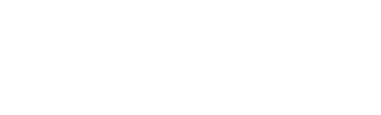 Signal Iduna Logo weiß